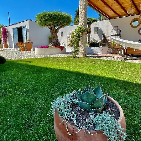 Casa De Oro Alma 3*