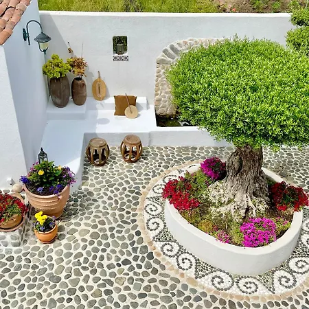 Casa De Oro Alma 3*