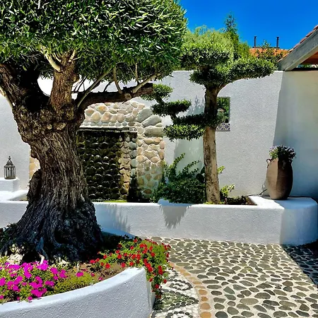 아파트호텔 Casa De Oro Alma 3*
