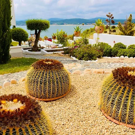 아파트호텔 Casa De Oro Alma