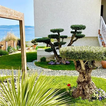 Casa De Oro Alma