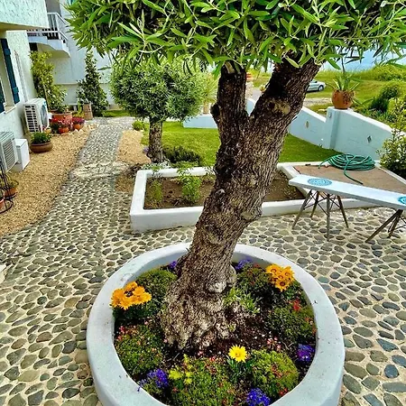 Casa De Oro Alma 3*