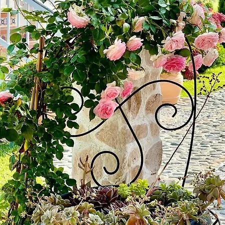 Casa De Oro Alma Aparthotel Sozopol